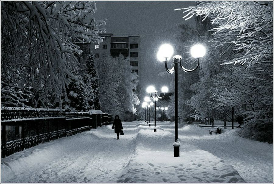 №72, Альберт Гришин №72, Альберт Гришин