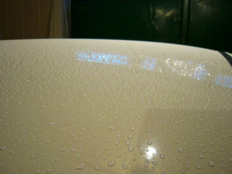 №99, Дмитрий Фокус, Таганрог №99, Дмитрий Фокус, Таганрог