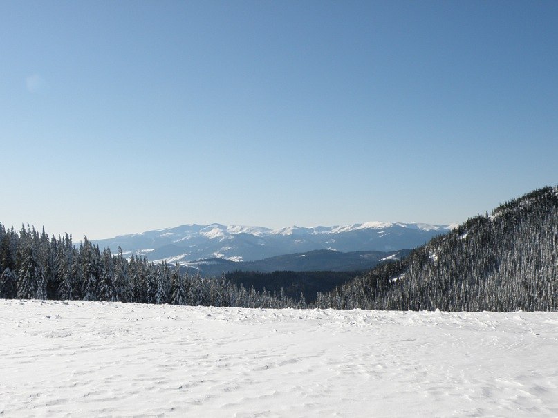 Наталія Тацишин-Войчишин | Ивано-Франковск