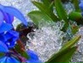 Юлия Маркова | Гомель