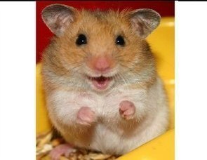 Алексей Гордиенко | Красноярск