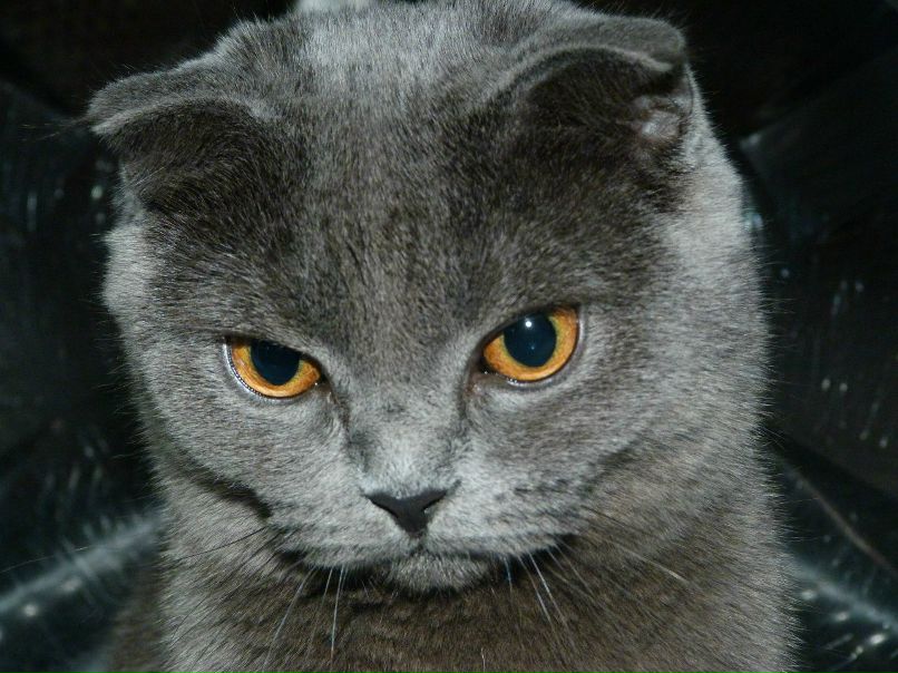 Анжелика Пономарева | Челябинск