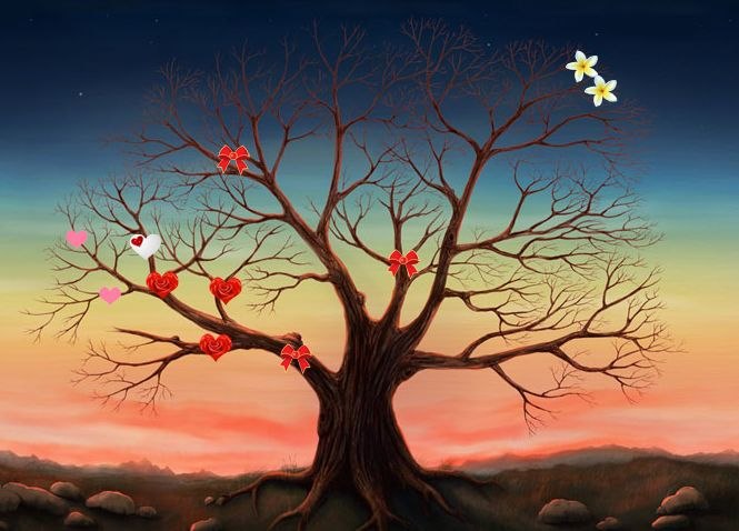 Дарья Чижова | Москва