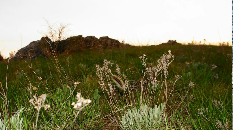 Михаил Болотов | Ростов-на-Дону