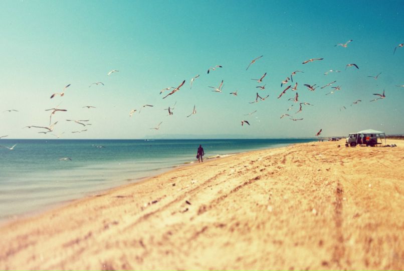 Юлия Ларсон | Москва