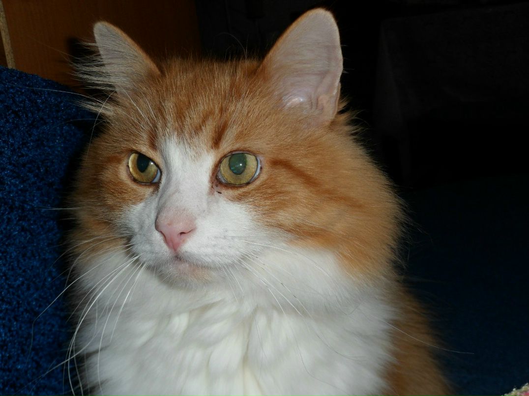 Раиса Чижова | Костомукша