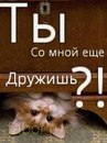 №14 Анастасия Андреева 11.01.1999: профиль, фото, статус - ВКонтакте