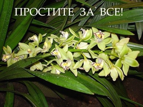 №23, Наталия Хащевацкая, 44 года №23, Наталия Хащевацкая, 44 года