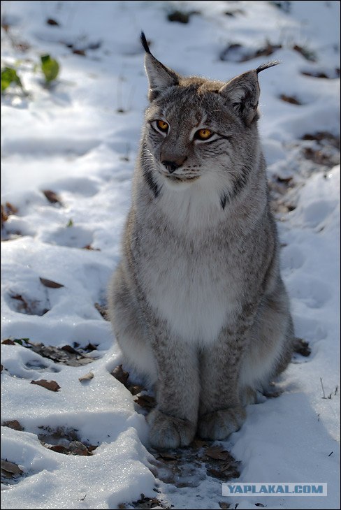 Илья Турбачкин | Иваново