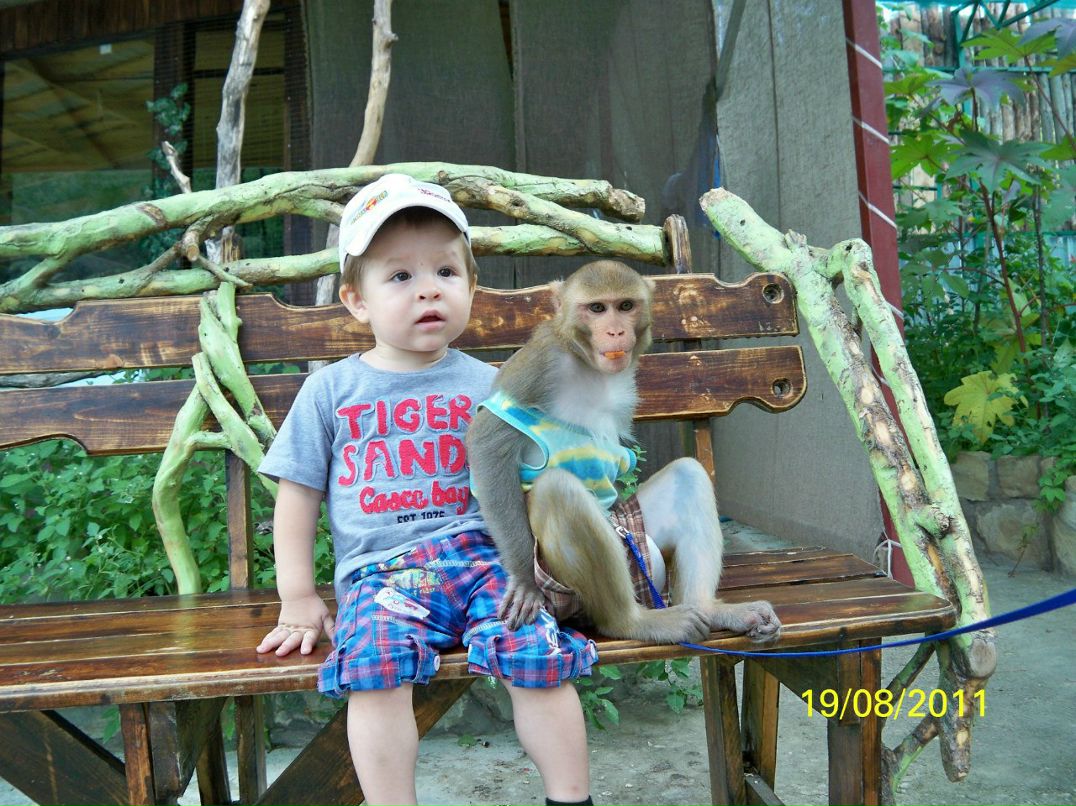 Александр Безгин shusha05 | Краснодар