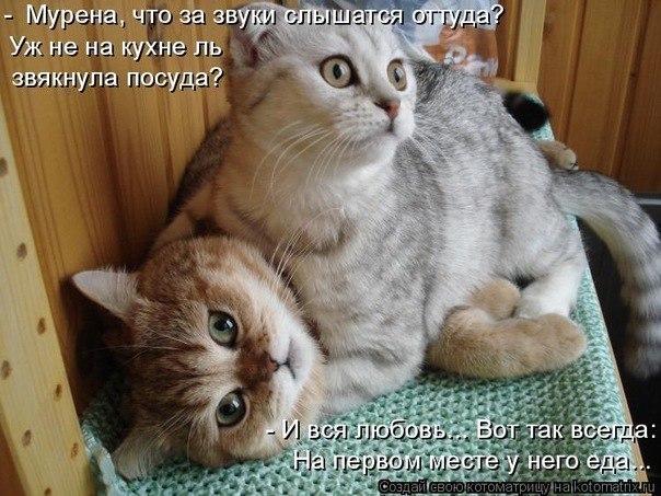 Янина Смирнова | Мурманск