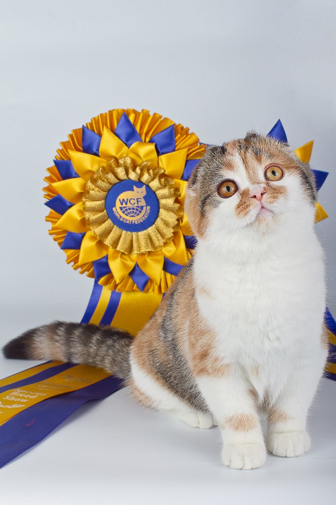 Юлия Рамзина | Санкт-Петербург