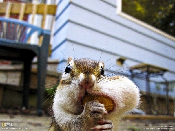 Татьяна Сазонова | Липецк