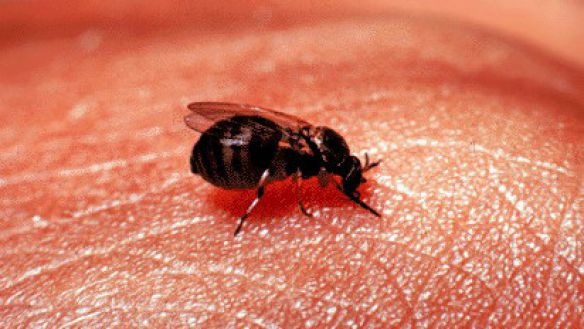 №179, Валентина Собаль, Санкт-Петербург №179, Валентина Собаль, Санкт-Петербург