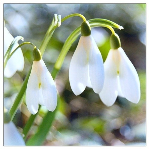 Ирина Чередник | Киев