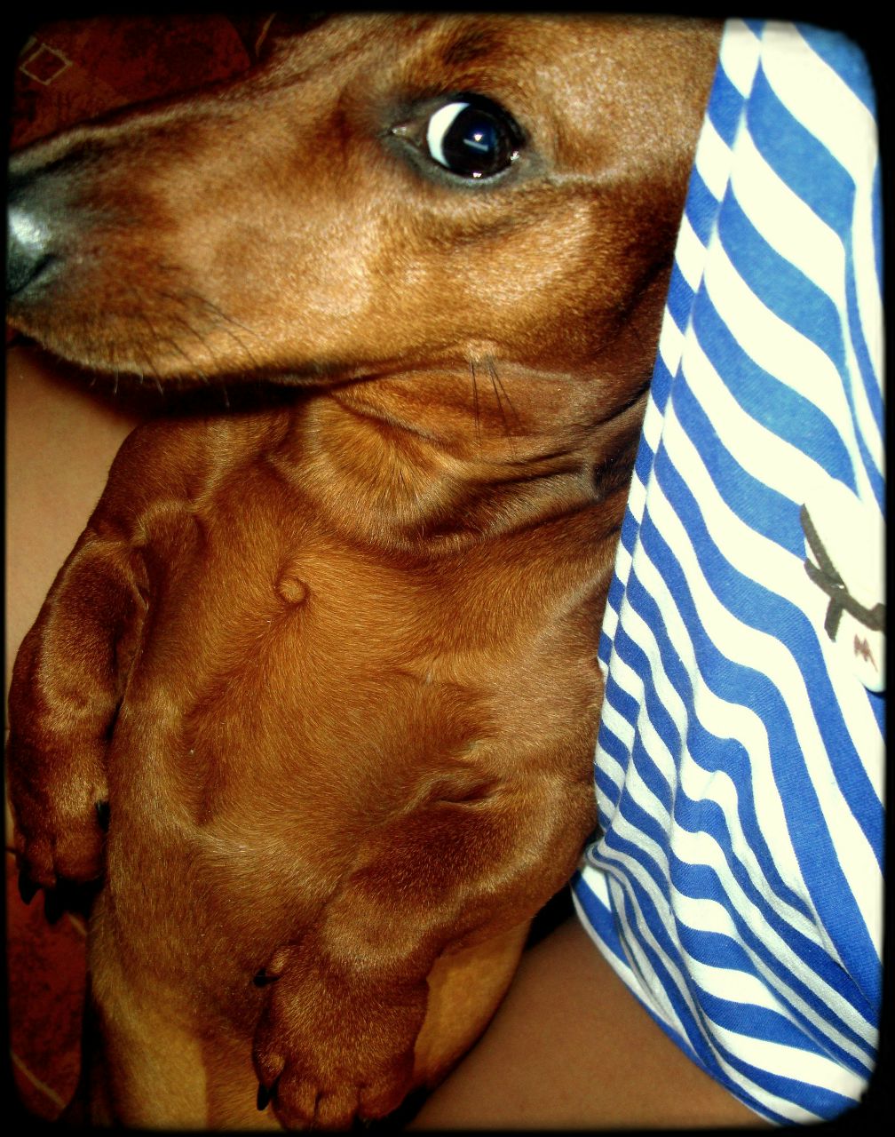 Евгения Криволуцкая | Владивосток