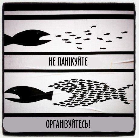 Владимир Трутнев Robo-Ky | 