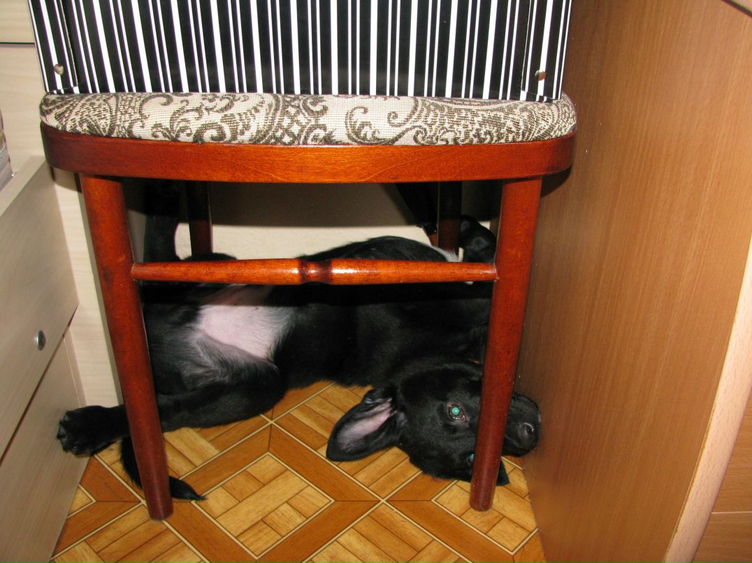 Наталья Елькина Baby | Кемерово