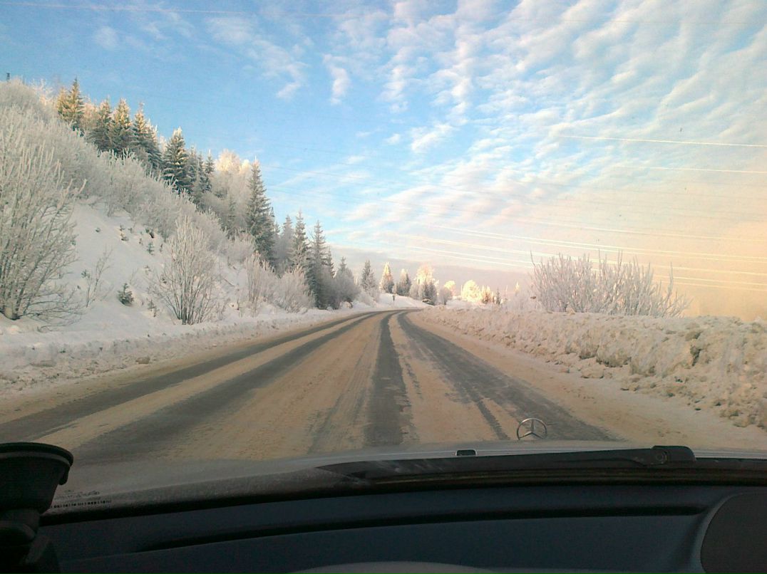 Артем Богданов | Пермь