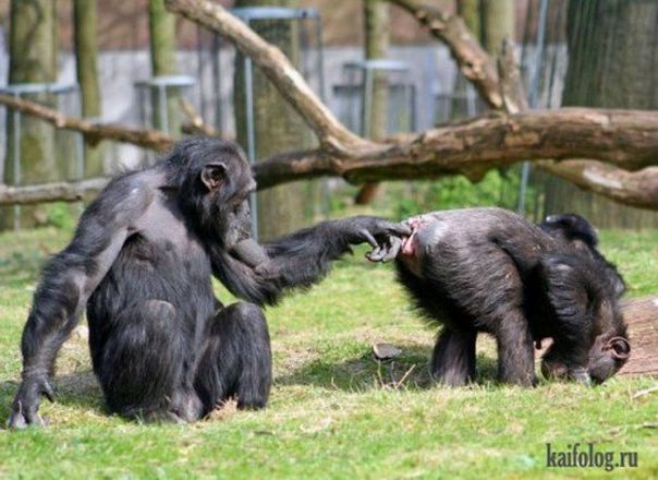 Байран Баранов, Россия, Волгоград