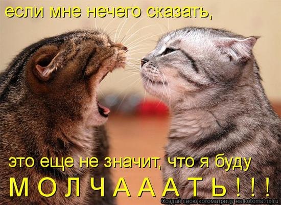 №71, Екатерина Зезина, 22.1, Москва №71, Екатерина Зезина, 22.1, Москва