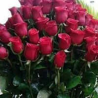Эля Воробьева