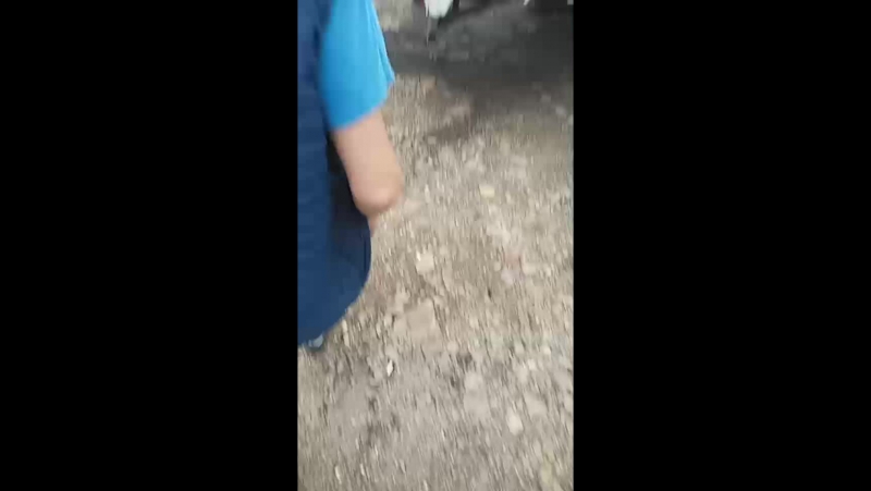 Ищем Саньку