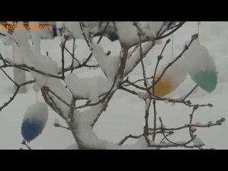 : Ostereiersuche im tiefen Schnee: Rostock versinkt im Winterchaos