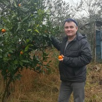Николай Бушуев