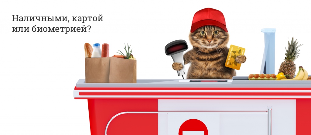 Веселый Кот Магазин Режим Работы