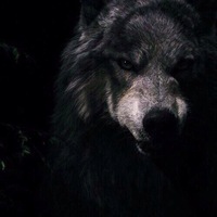 Сергей Захаров