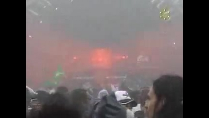 Infected Mashroom