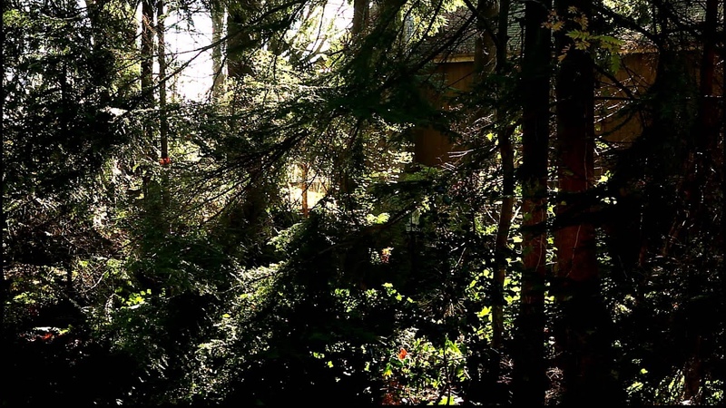 Gentle Light, November