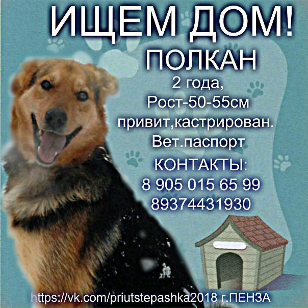 Магазин Полкан Волгоград