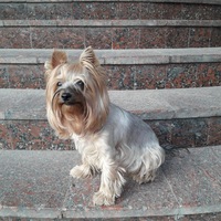 Александр Денисов