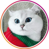 Дмитрий Ломоносов