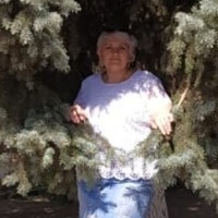 Елена Рыбакова