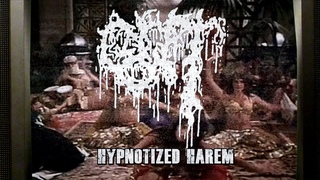 GUT - Hypnotized Harem feat. Maty of GUTALAX (Official Video)