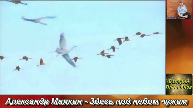 А. Милкин Здесь под небом