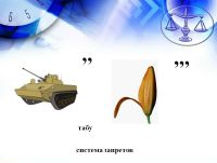 Ребусы по праву. Юридические ребусы. Правовые ребусы. Ребусы по праву с ответами