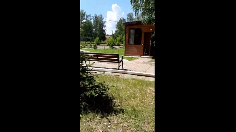 день Психолога