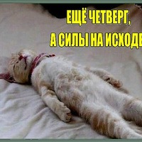 Юрий Васин | Улан-Удэ