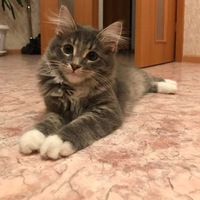 Мария Зиновьева | Петрозаводск
