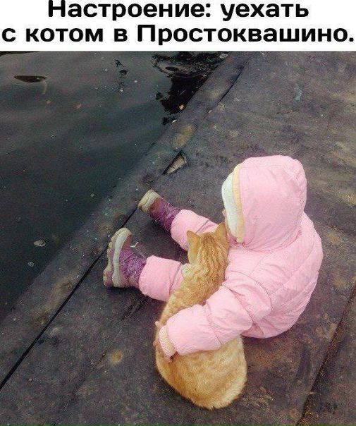 -65327228_457251177