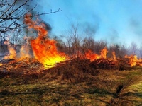 открытые пожары. пожары на открытом пространстве. пожар в лесу вид сверху. огонь пожар взрыв картинки для детей. пожар фото.