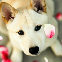 Елизавета Бондаренко | Пермь