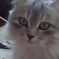 Таня Архипова | Нижний Новгород