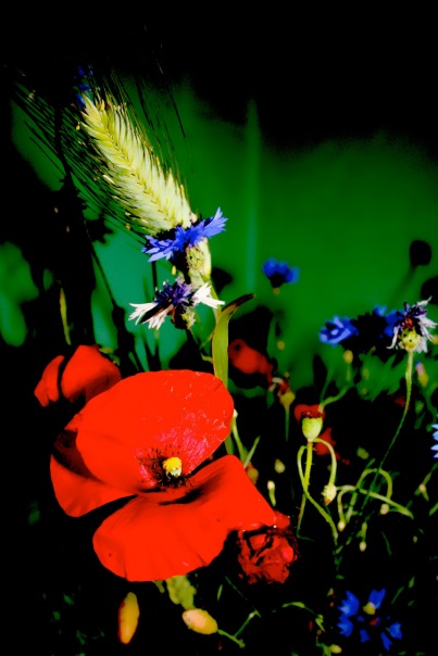 №7, Alexey Telnov, Санкт-Петербург №7, Alexey Telnov, Санкт-Петербург