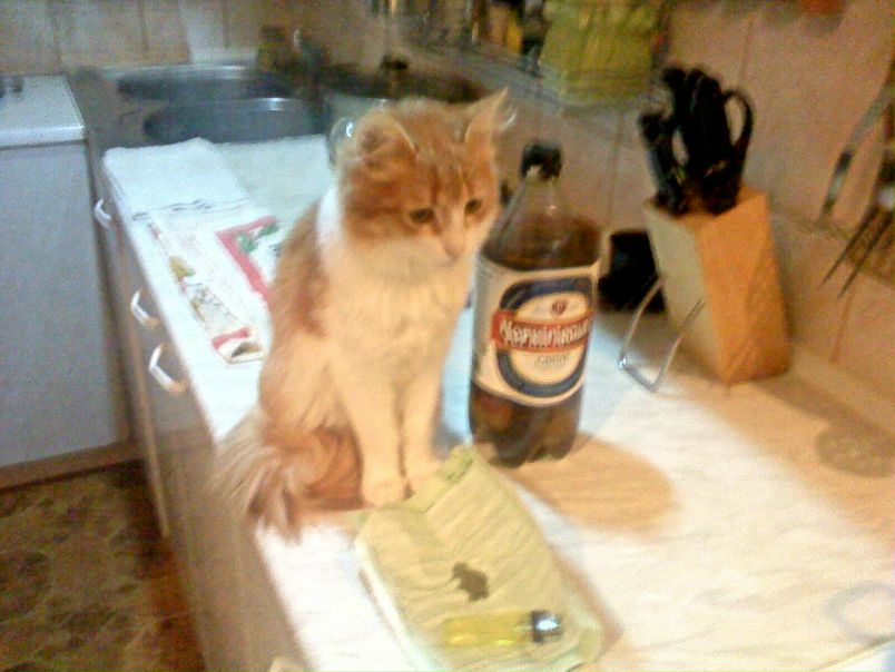 №15, Олег Дрозд, 38 лет, Бахмут / Артемовск №15, Олег Дрозд, 38 лет, Бахмут / Артемовск