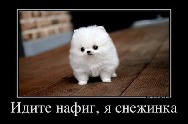 Оксана Резник Джессика | Москва